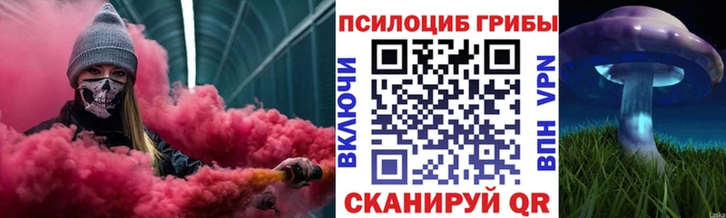 Псилоцибиновые грибы Psilocybine cubensis  Славск 
